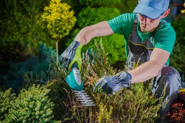 landscaping services Kenwood